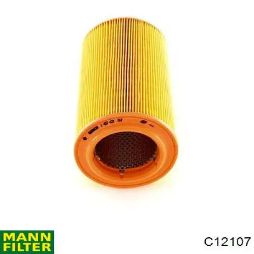 Filtro de aire C12107 Mann-Filter