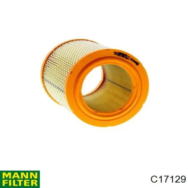 C17129 Mann-Filter