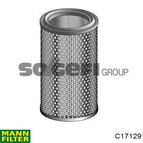 C17129 Mann-Filter