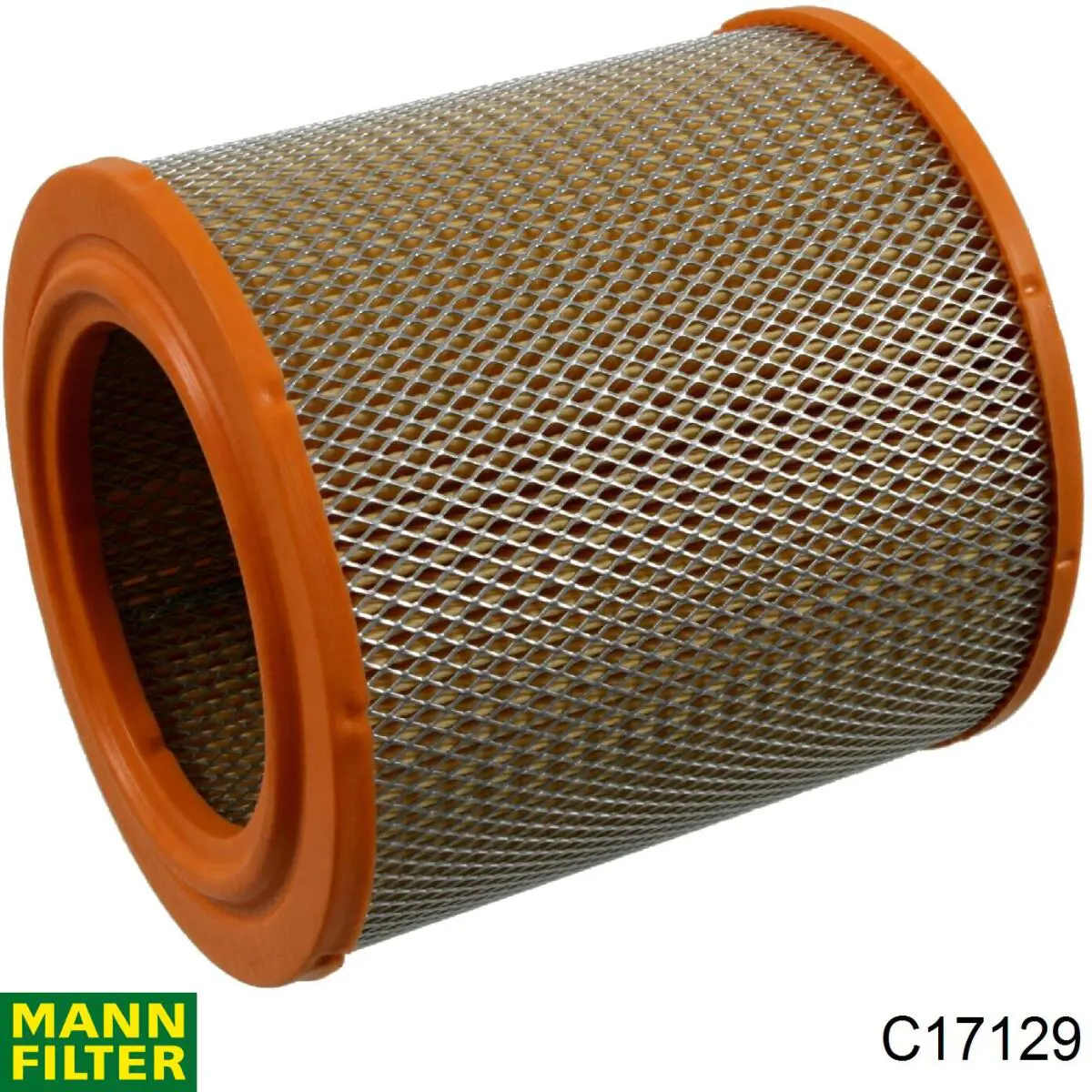 C17129 Mann-Filter
