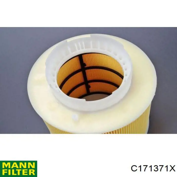 Элемент воздушного фильтра Mann-Filter C171371X цена, от 22.99 USD