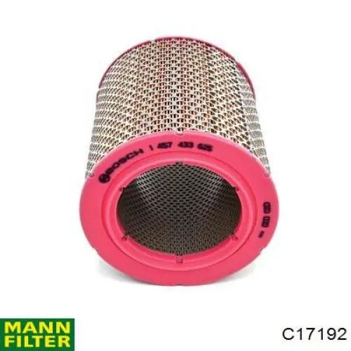 Купить C17192 Mann-Filter Автомобильный фильтр воздуха