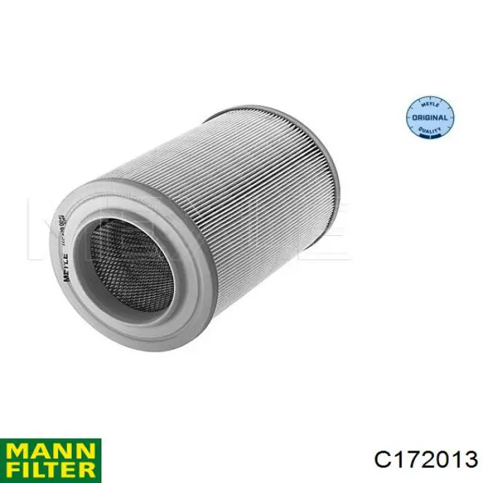 Filtro de aire C172013 Mann-Filter