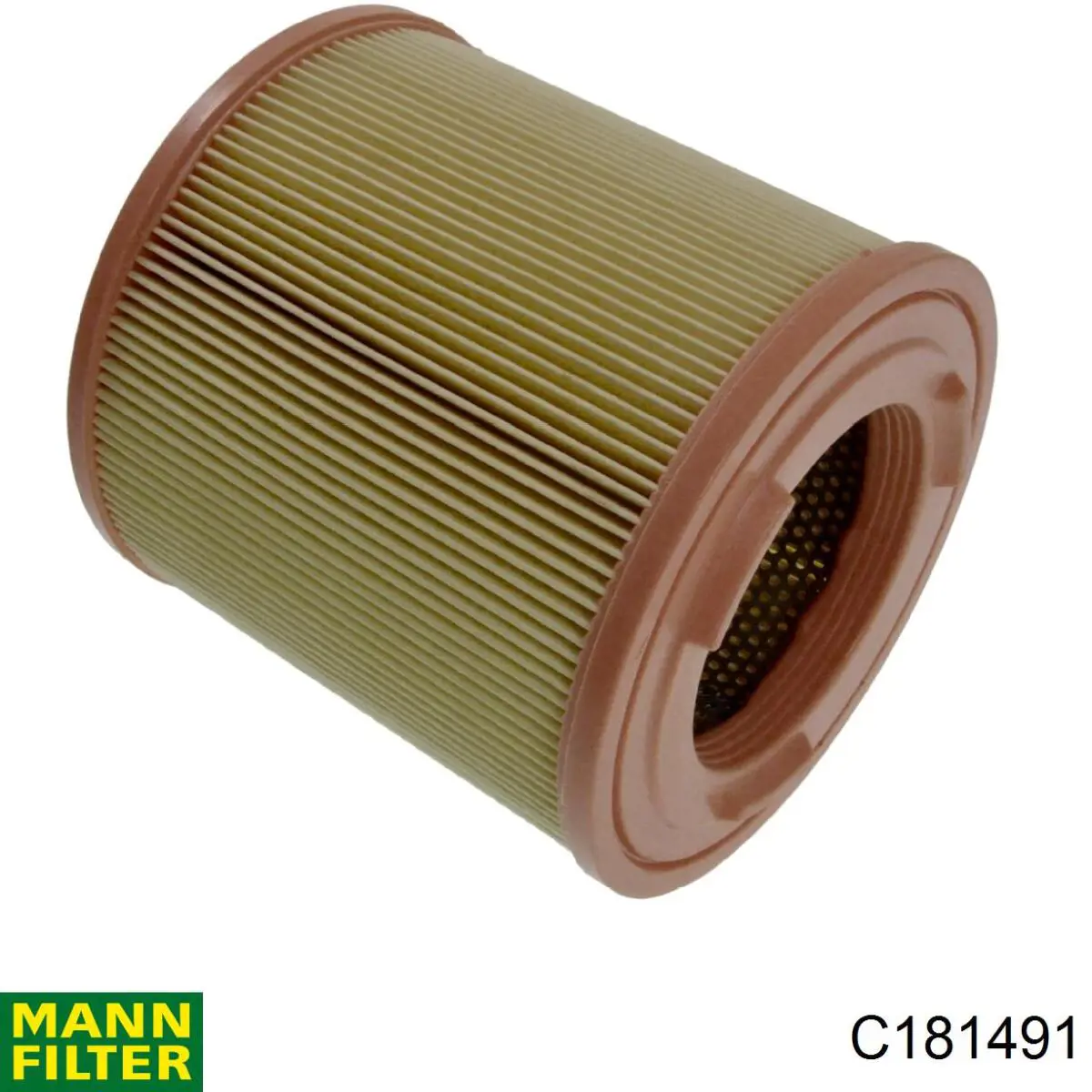 Filtro de aire C181491 Mann-Filter