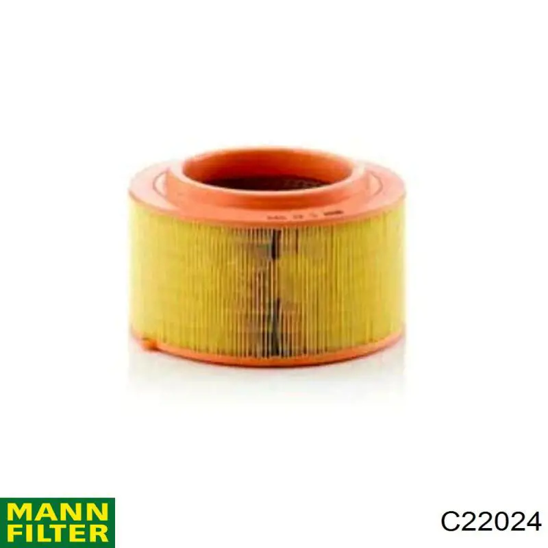 C22024 Mann-Filter filtro de ar