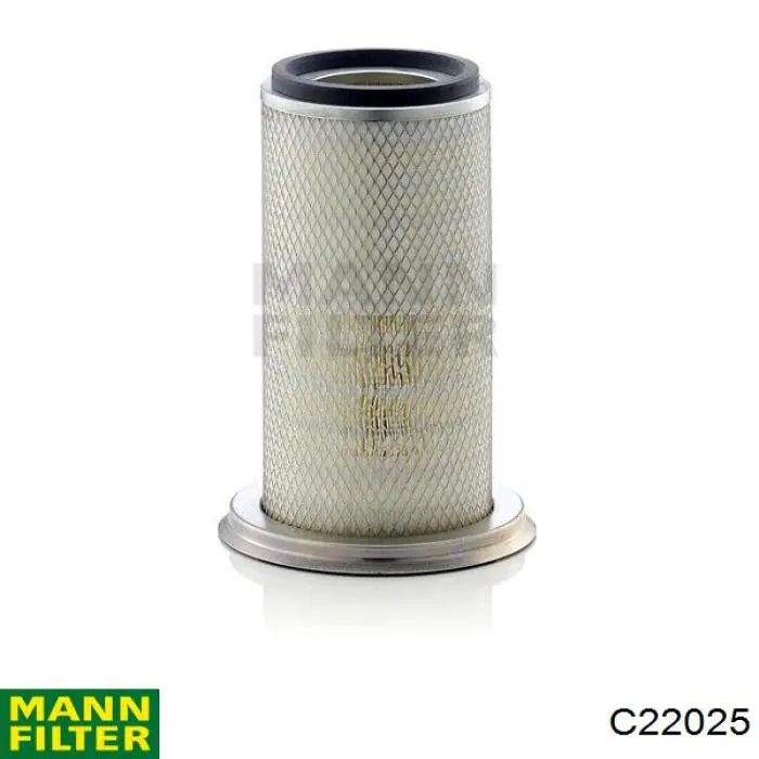 C22025 Mann-Filter filtro de ar