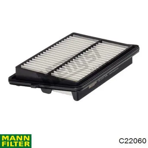 C22060 Mann-Filter filtro de ar