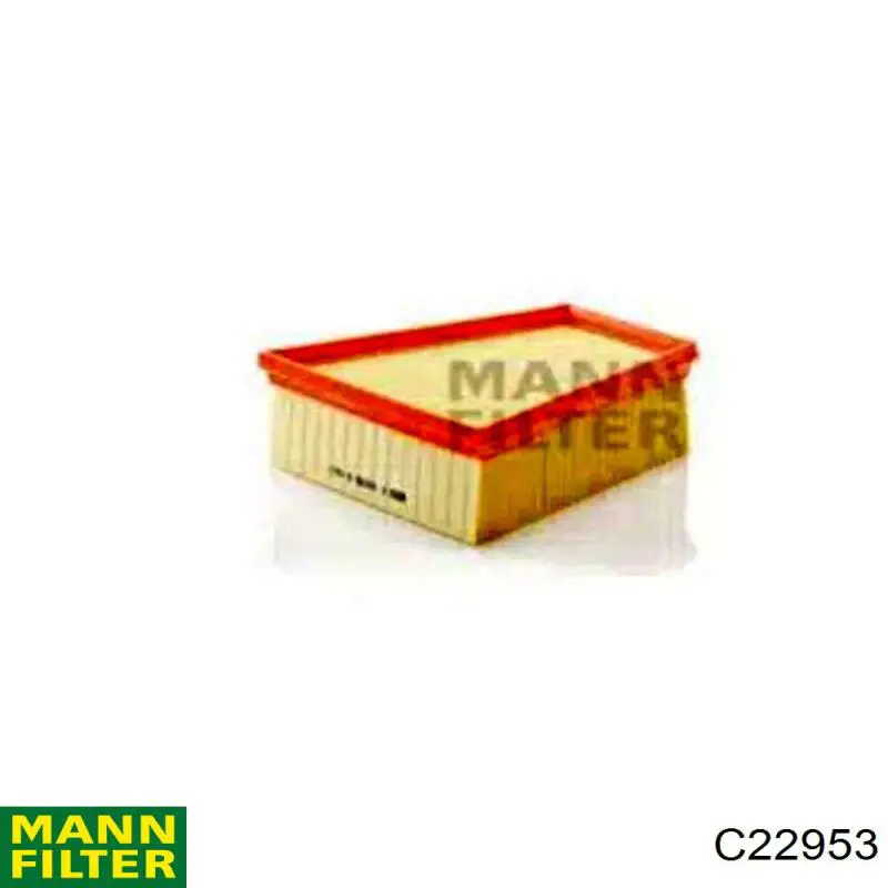 Filtro de aire C22953 Mann-Filter