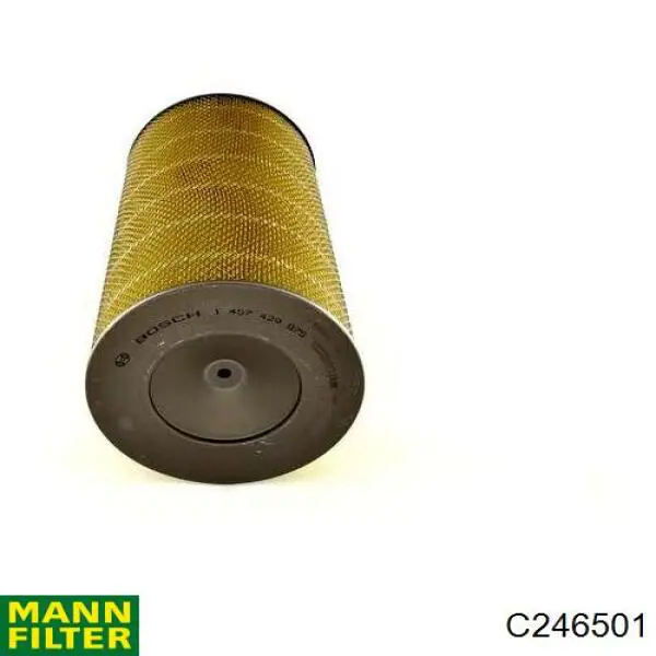 Filtro de aire C246501 Mann-Filter