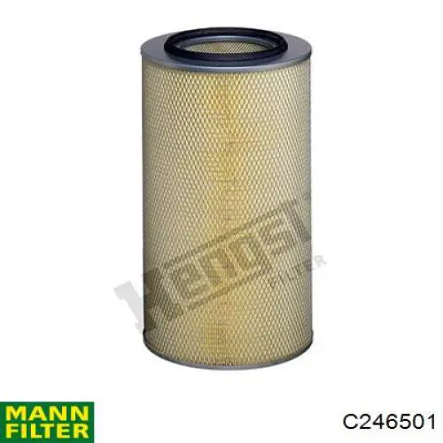 Элемент воздушного фильтра Mann-Filter C246501 цена, от 57.21 USD