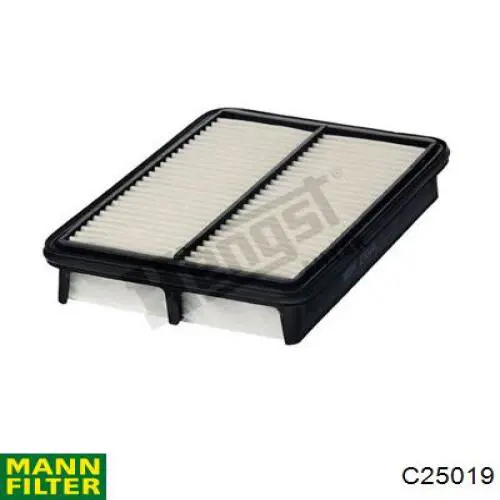 C25019 Mann-Filter filtro de ar