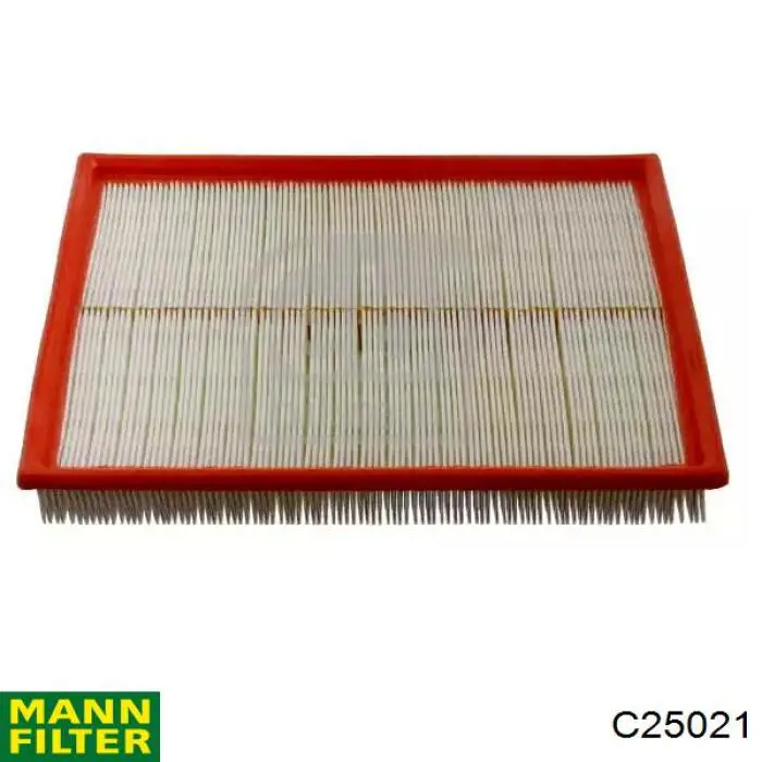Filtro de aire C25021 Mann-Filter