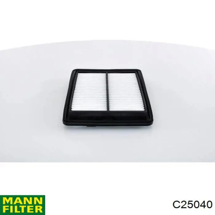 Воздушный фильтр C25040 Mann-Filter