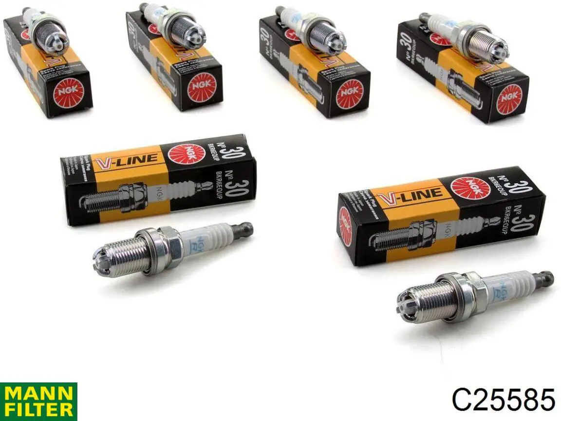 C25585 Mann-Filter Воздушный фильтр двигателя
