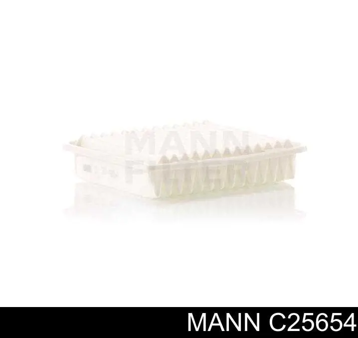 C25654 Mann-Filter filtro de ar