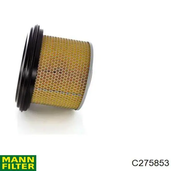 Filtro de aire C275853 Mann-Filter