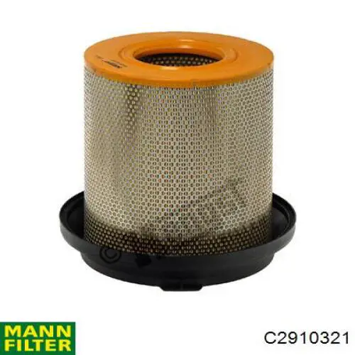 Filtro de aire C2910321 Mann-Filter