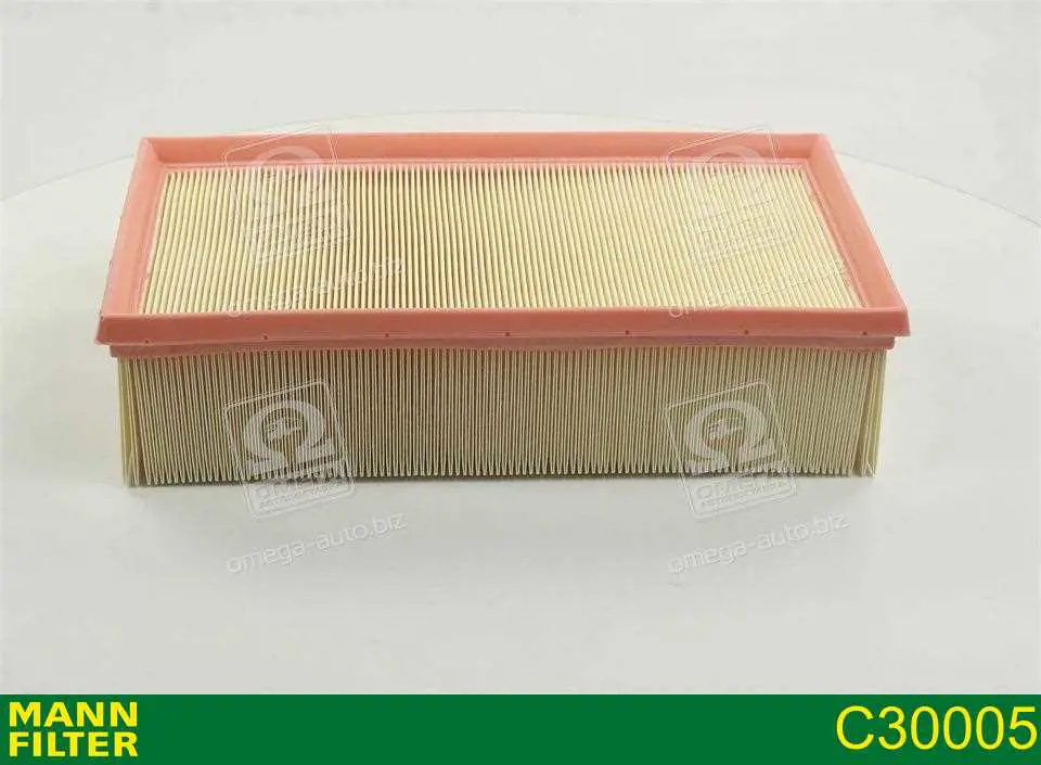 Воздушный фильтр C30005 Mann-Filter
