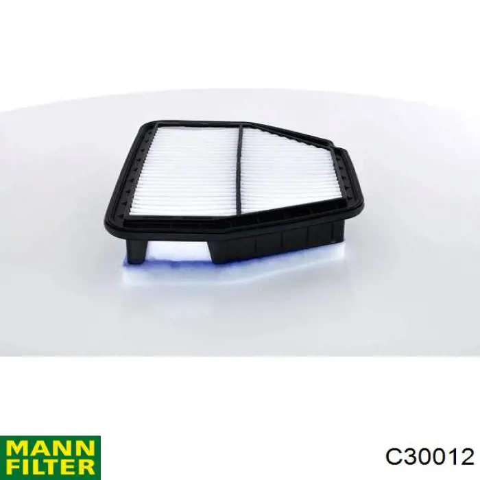 Элемент воздушного фильтра Mann-Filter C30012 цена, от 31.37 USD