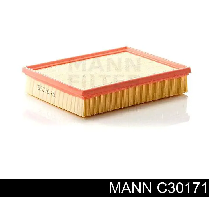 Купить C30171 Mann-Filter Автомобильный фильтр воздуха