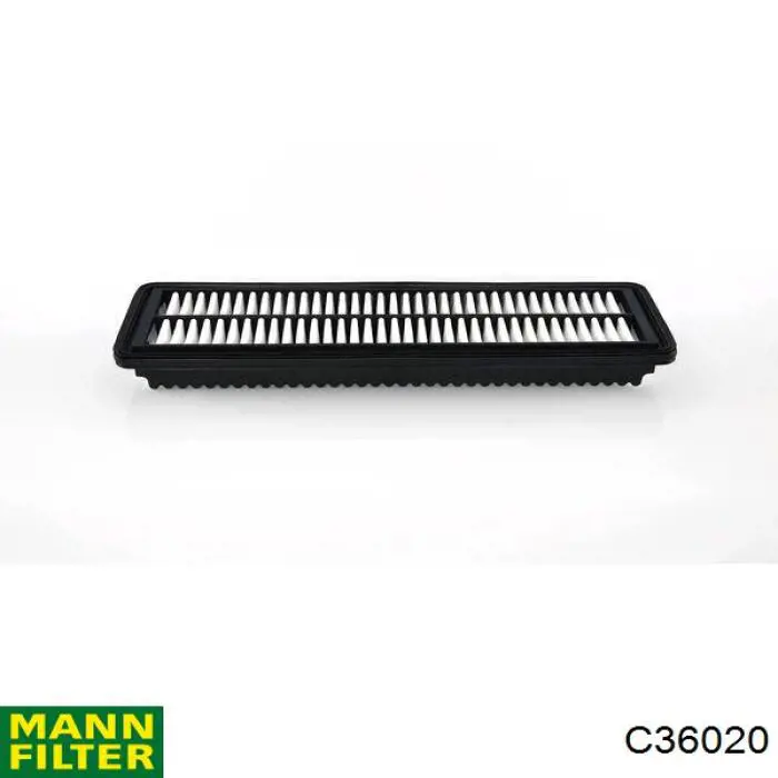 Filtro de aire C36020 Mann-Filter