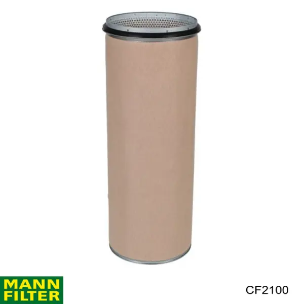 Фильтр воздушный насоса подачи вторичного воздуха Mann-Filter CF2100