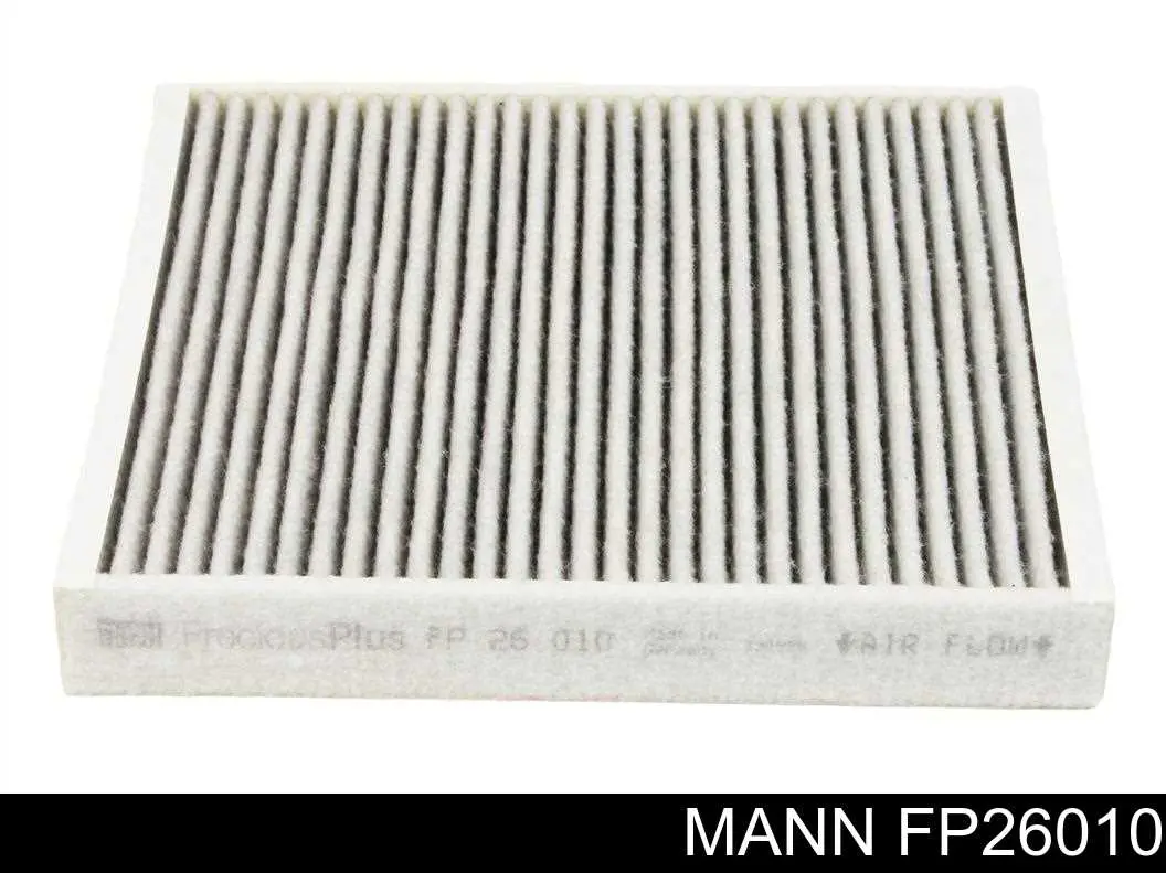 BCF406C Magneti Marelli filtro de salão