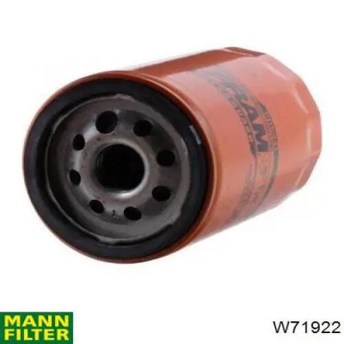 Купить W71922 Mann-Filter Фильтр центробежный очистки масла