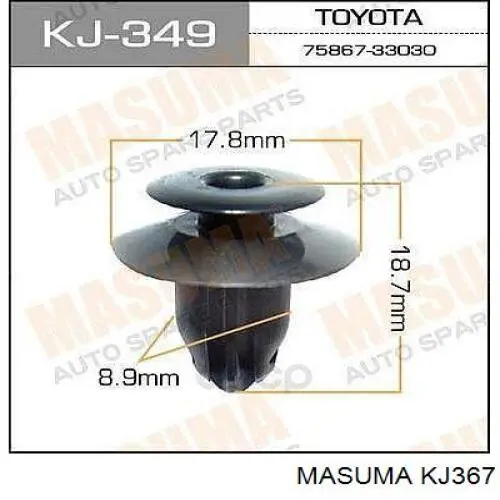 KJ367 Masuma 