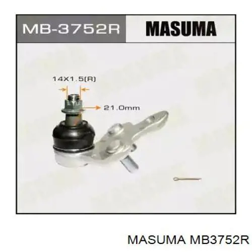 Шаровая опора нижняя правая Masuma MB3752R