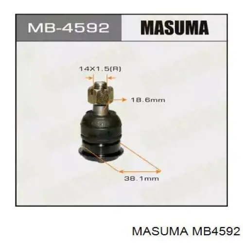 Шаровая опора нижняя Masuma MB4592