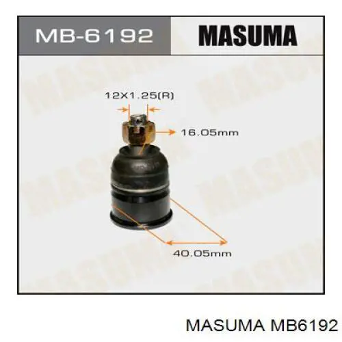 MB6192 Masuma