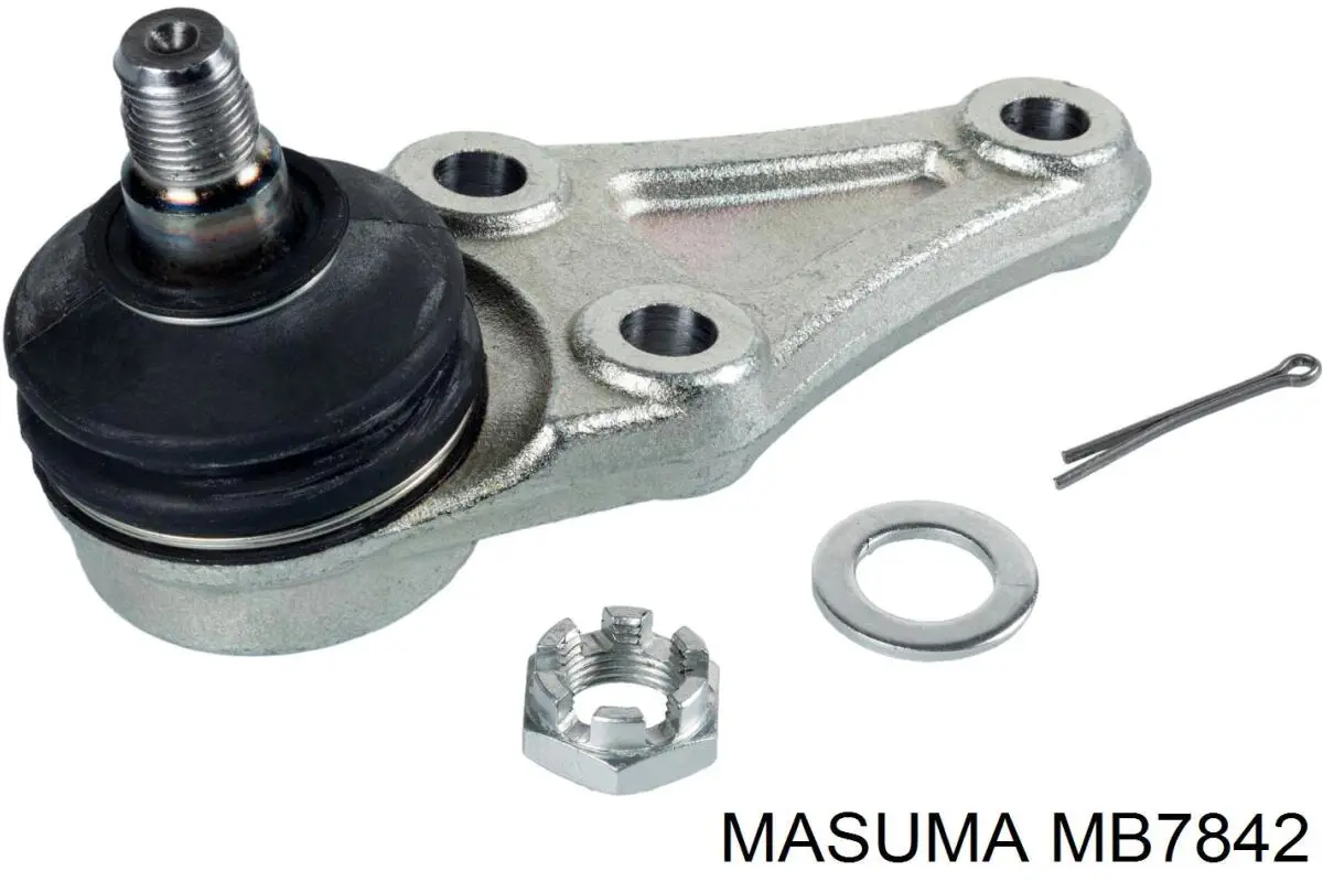 Шаровая опора, нижняя Masuma MB7842 цена, от 23.85 USD