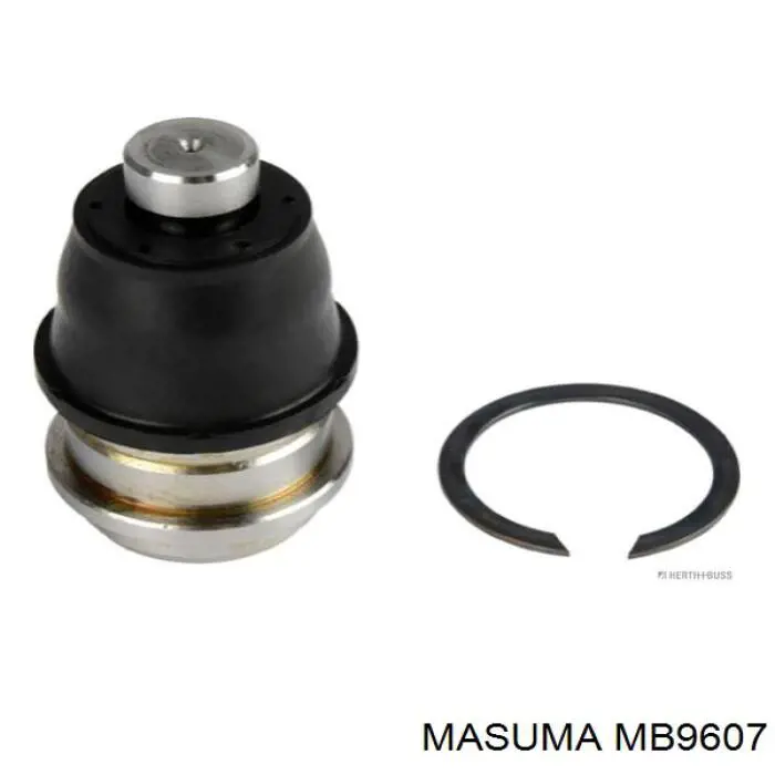 MB9607 Masuma suporte de esfera inferior