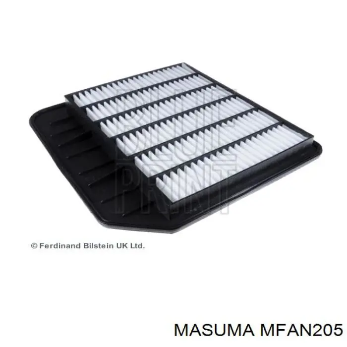 MFAN205 Masuma