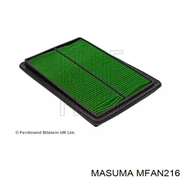 MFAN216 Masuma