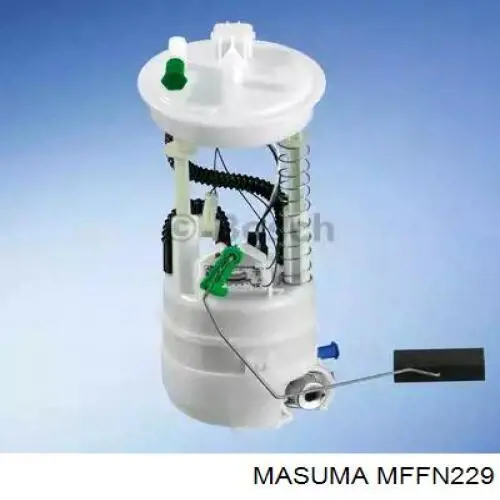 MFFN229 Masuma 