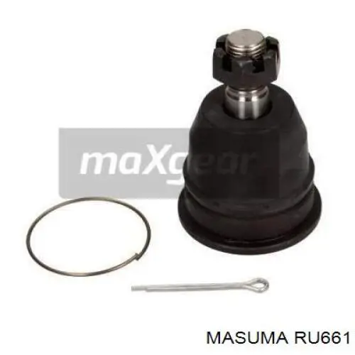 RU661 Masuma