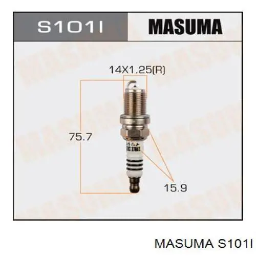 S101I Masuma