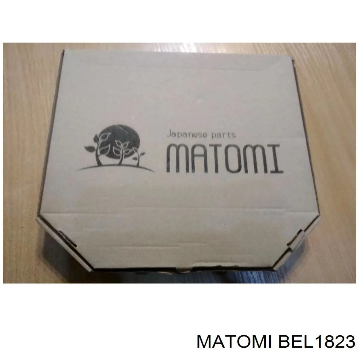 BEL1823 Matomi