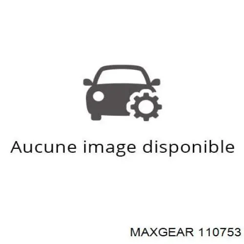 Амортизатор задний 110753 Maxgear