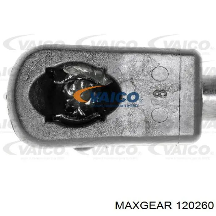 Купить 120260 Maxgear Амортизатор двери багажника
