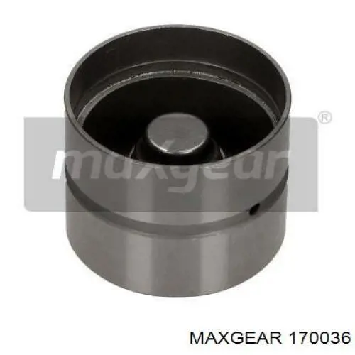 170036 Maxgear гидрокомпенсатор (гидротолкатель, толкатель клапанов)