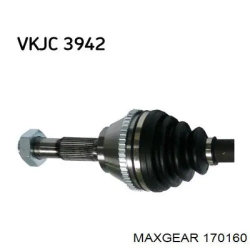 Купить BACB12153026 Bapmic Башмак натяжителя цепи ГРМ