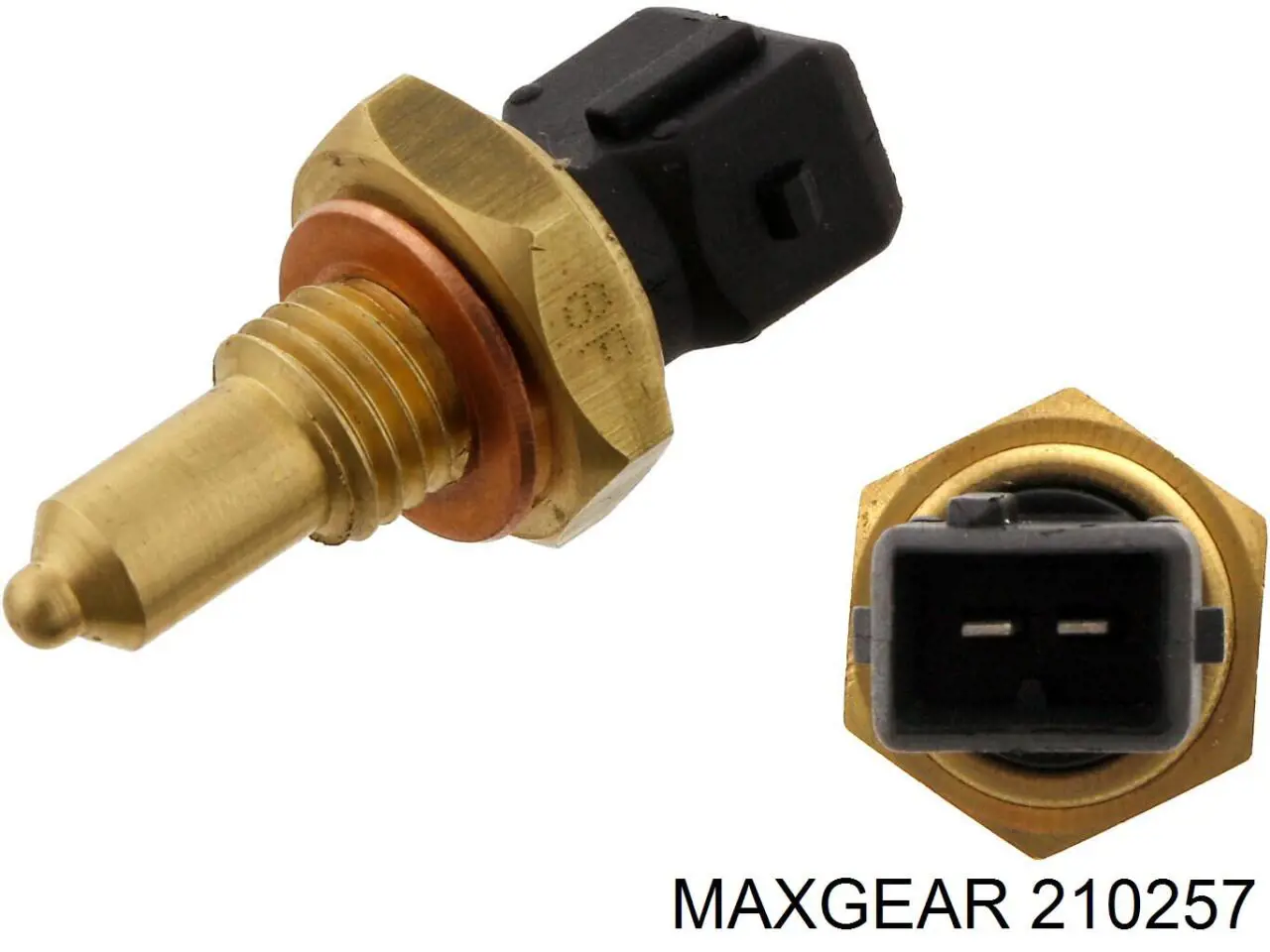 210257 Maxgear датчик температуры охлаждающей жидкости