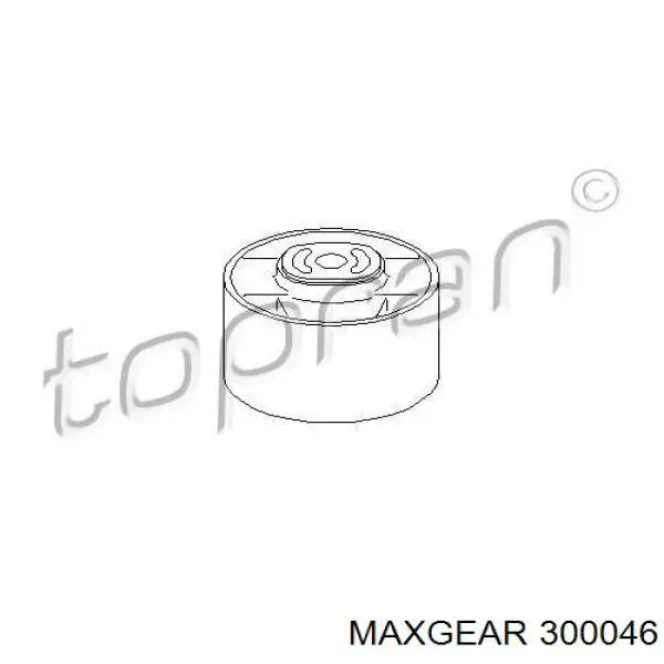 Шкив насоса ГУР 300046 Maxgear