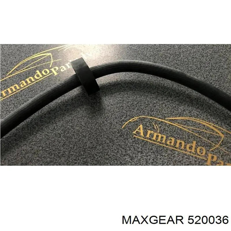 Шланг тормозной передний 520036 Maxgear