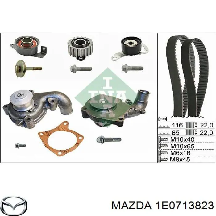 Correa, bomba de alta presión 1E0713823 Mazda