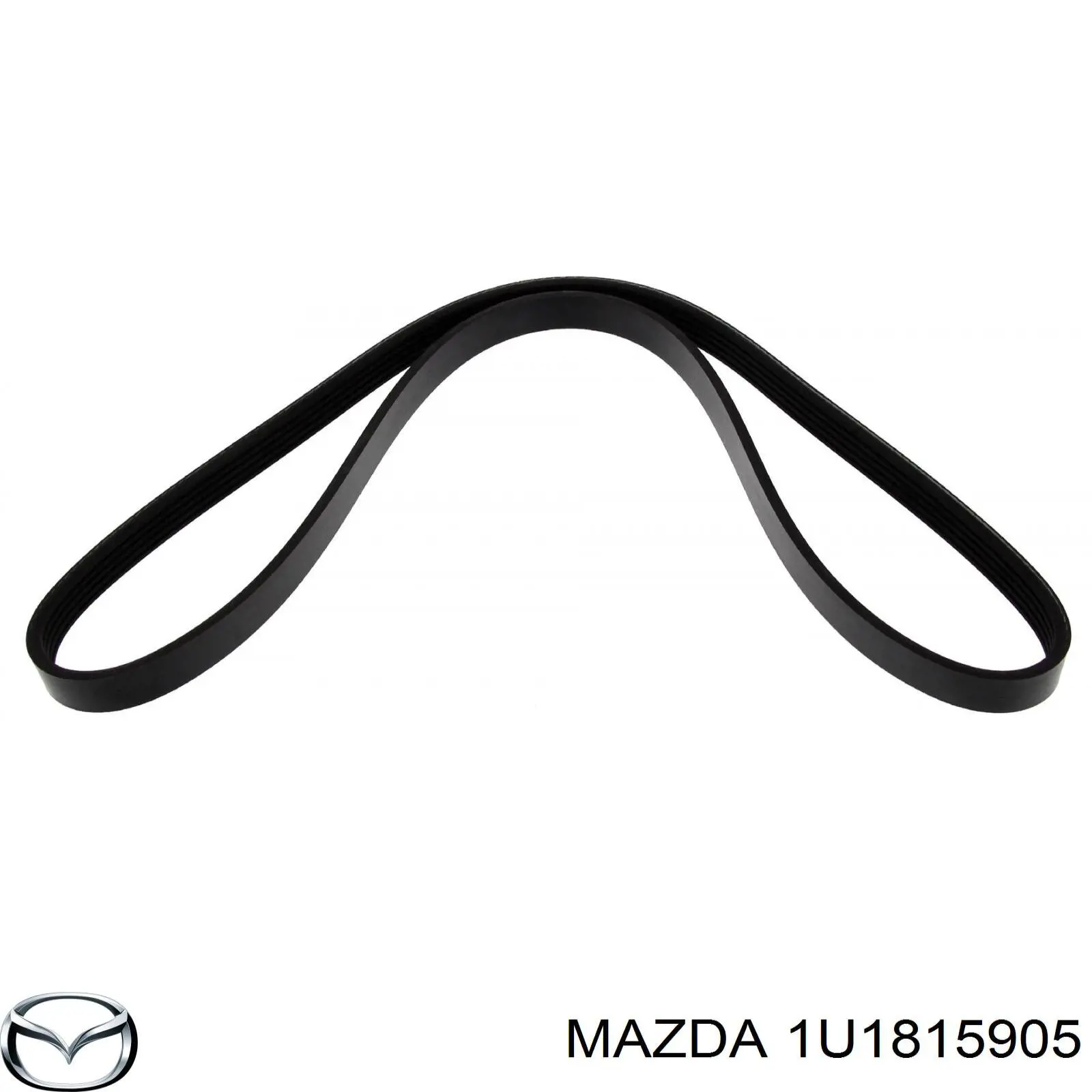 1U1815905 Mazda 