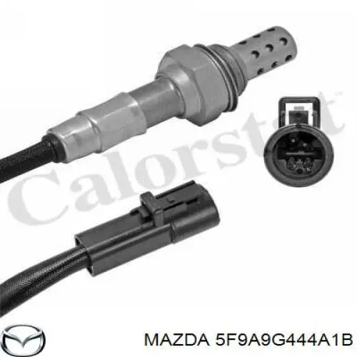 5F9A9G444A1B Mazda 